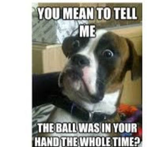 Meet your Posher, Carter